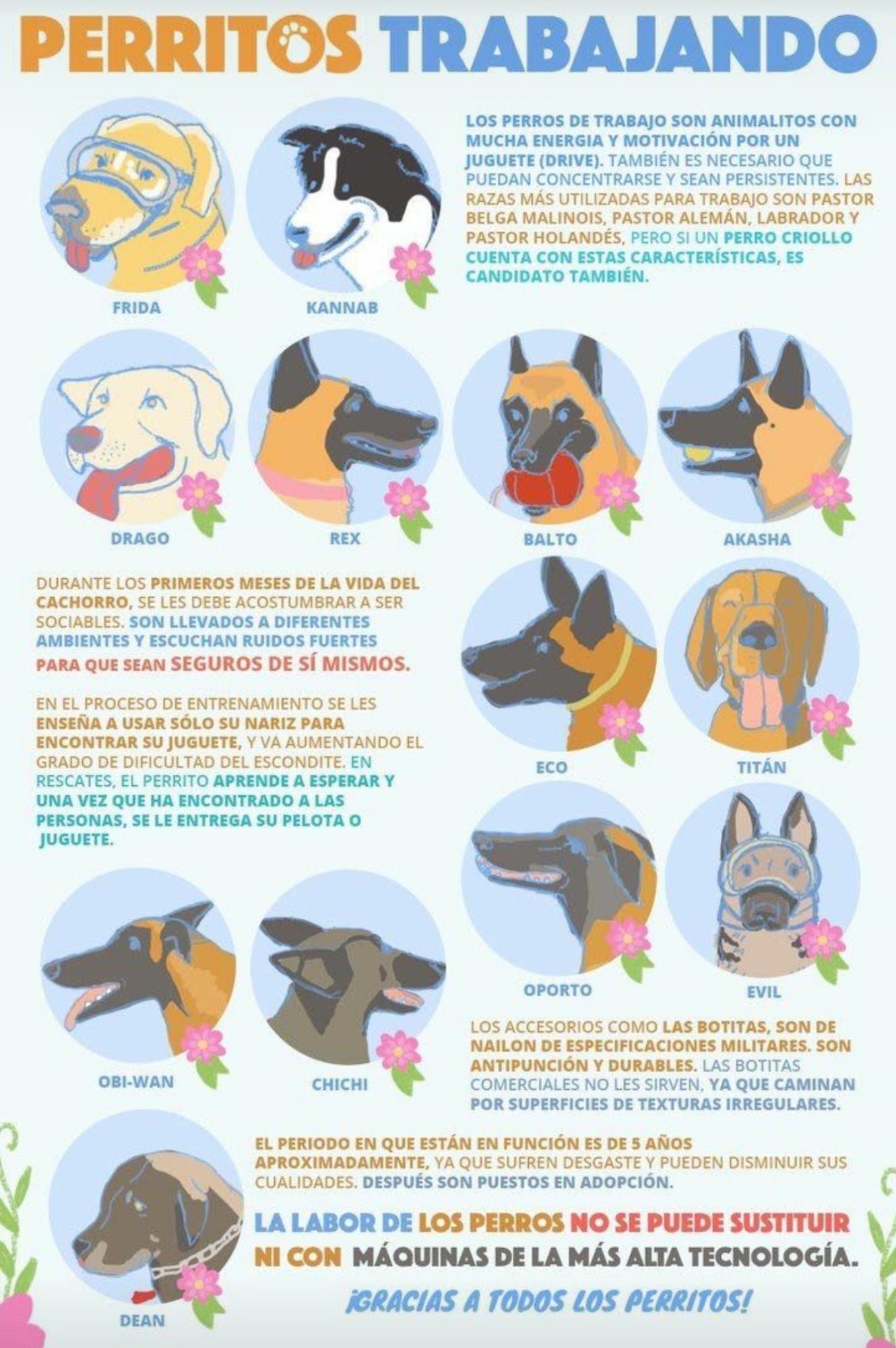 Foto en memoria de Frida
