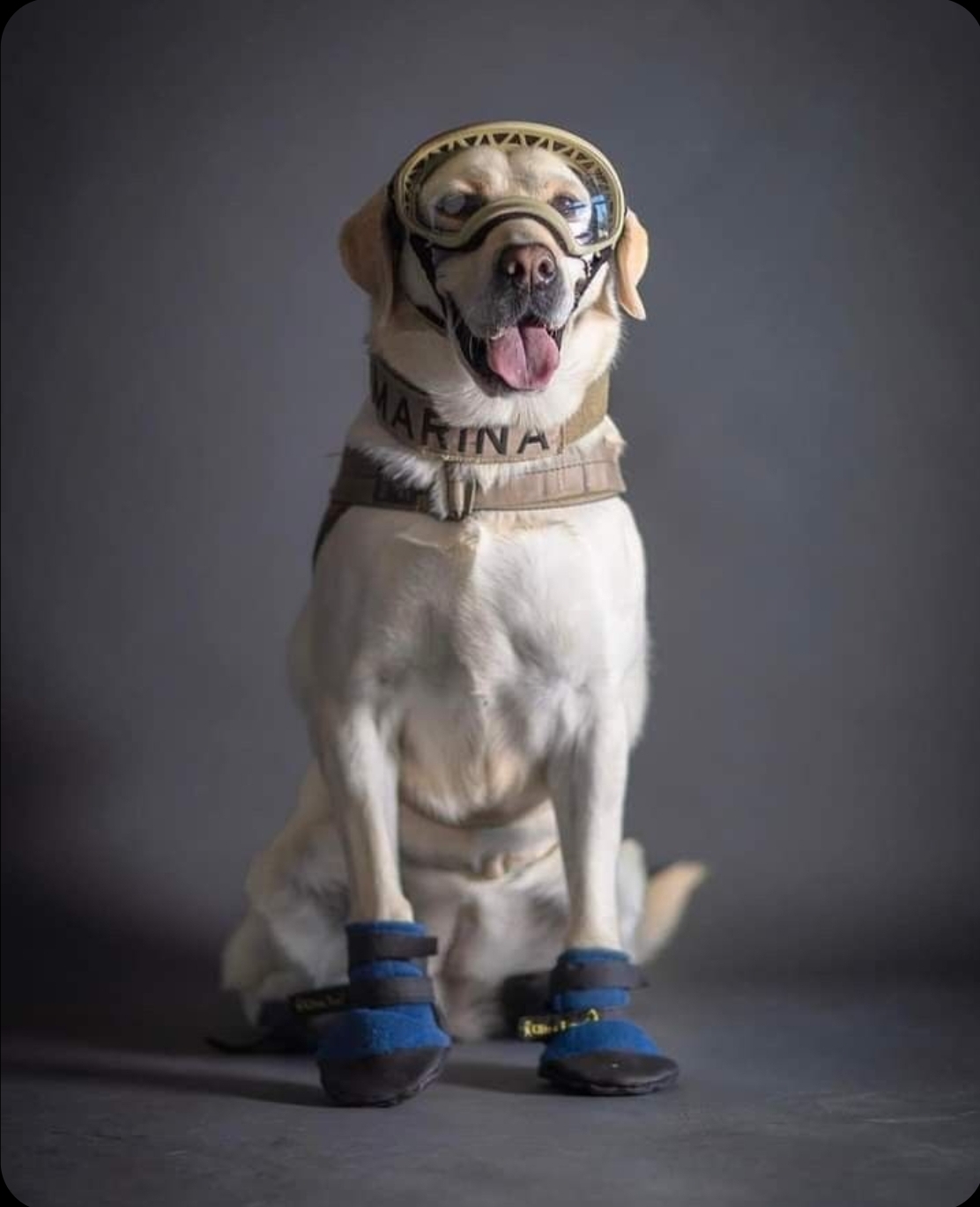 Foto en memoria de Frida