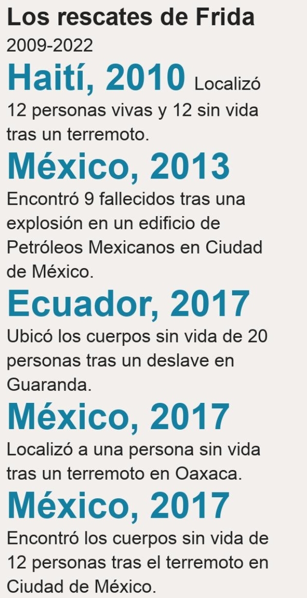 Foto en memoria de Frida