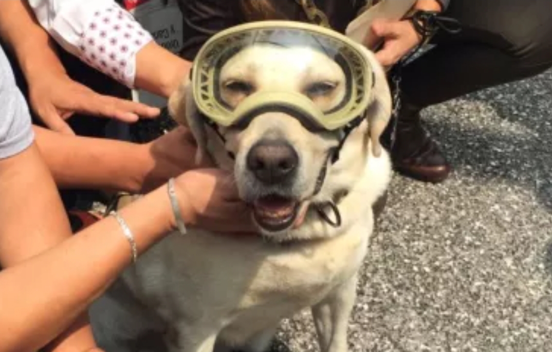 Foto en memoria de Frida