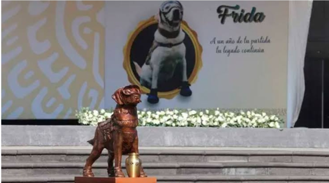 Foto en memoria de Frida