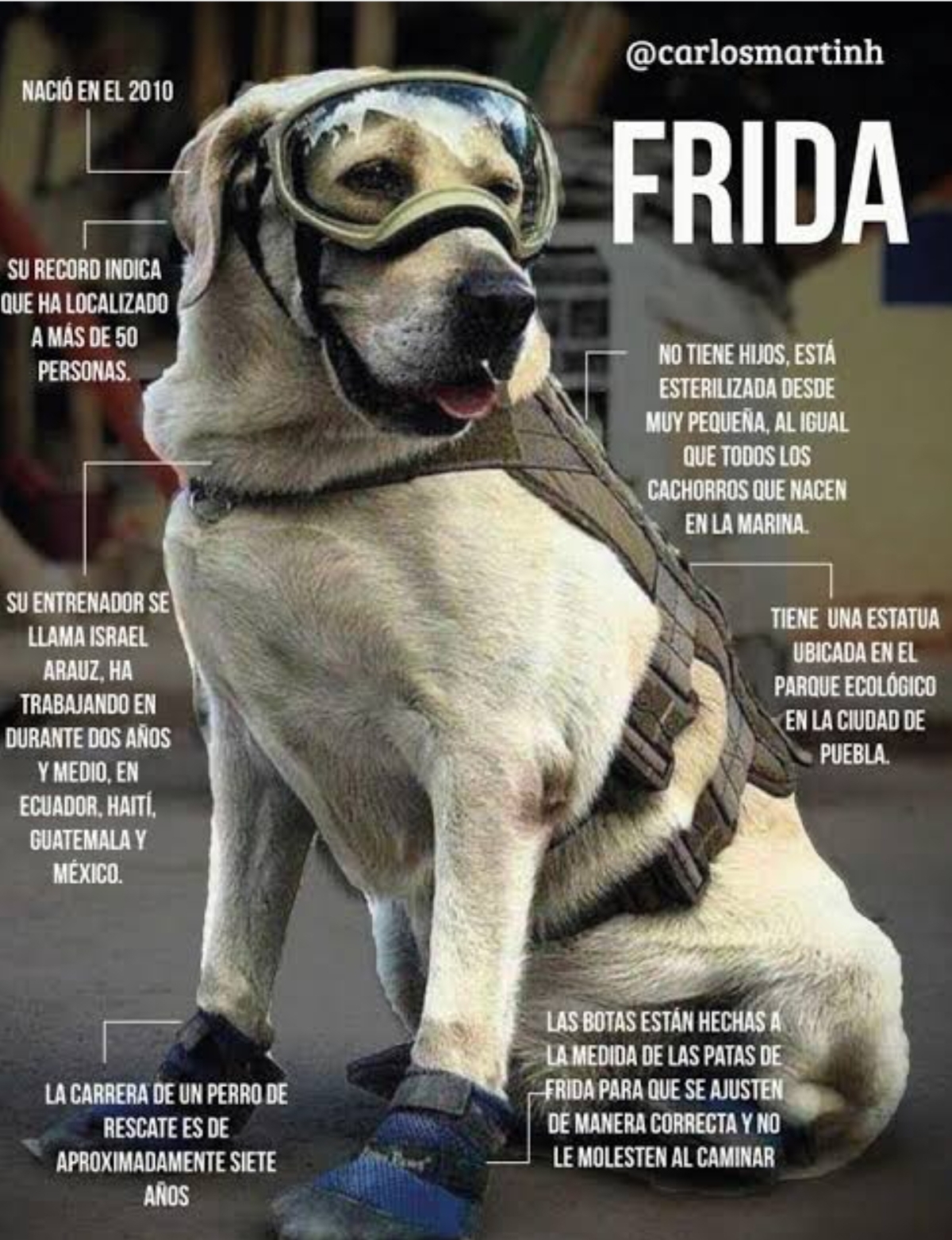 Foto en memoria de Frida