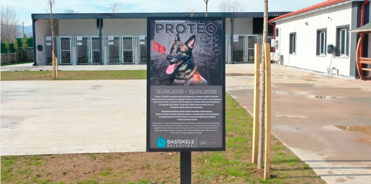 Foto en memoria de Proteo