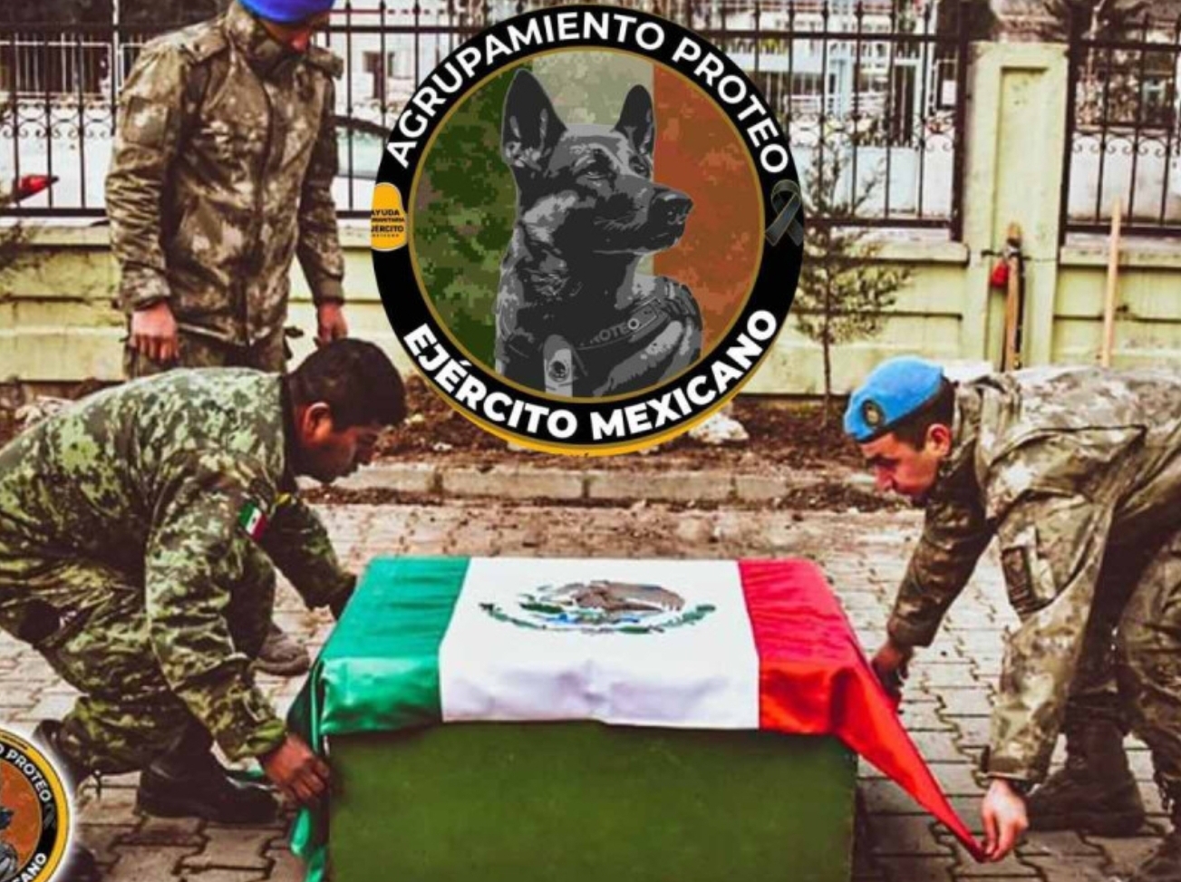 Foto en memoria de Proteo