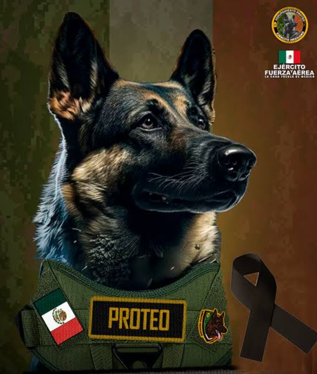 Foto en memoria de Proteo