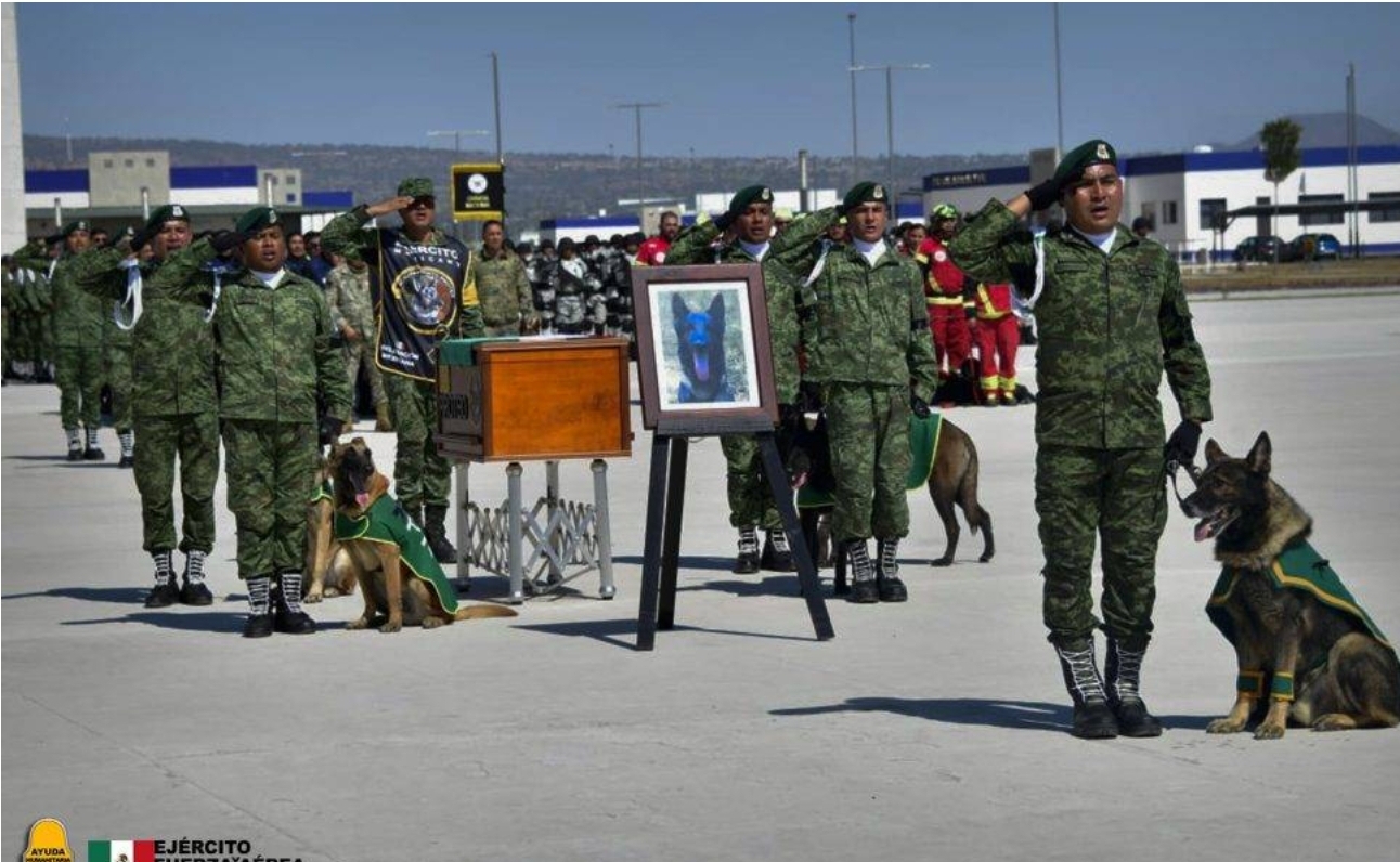 Foto en memoria de Proteo