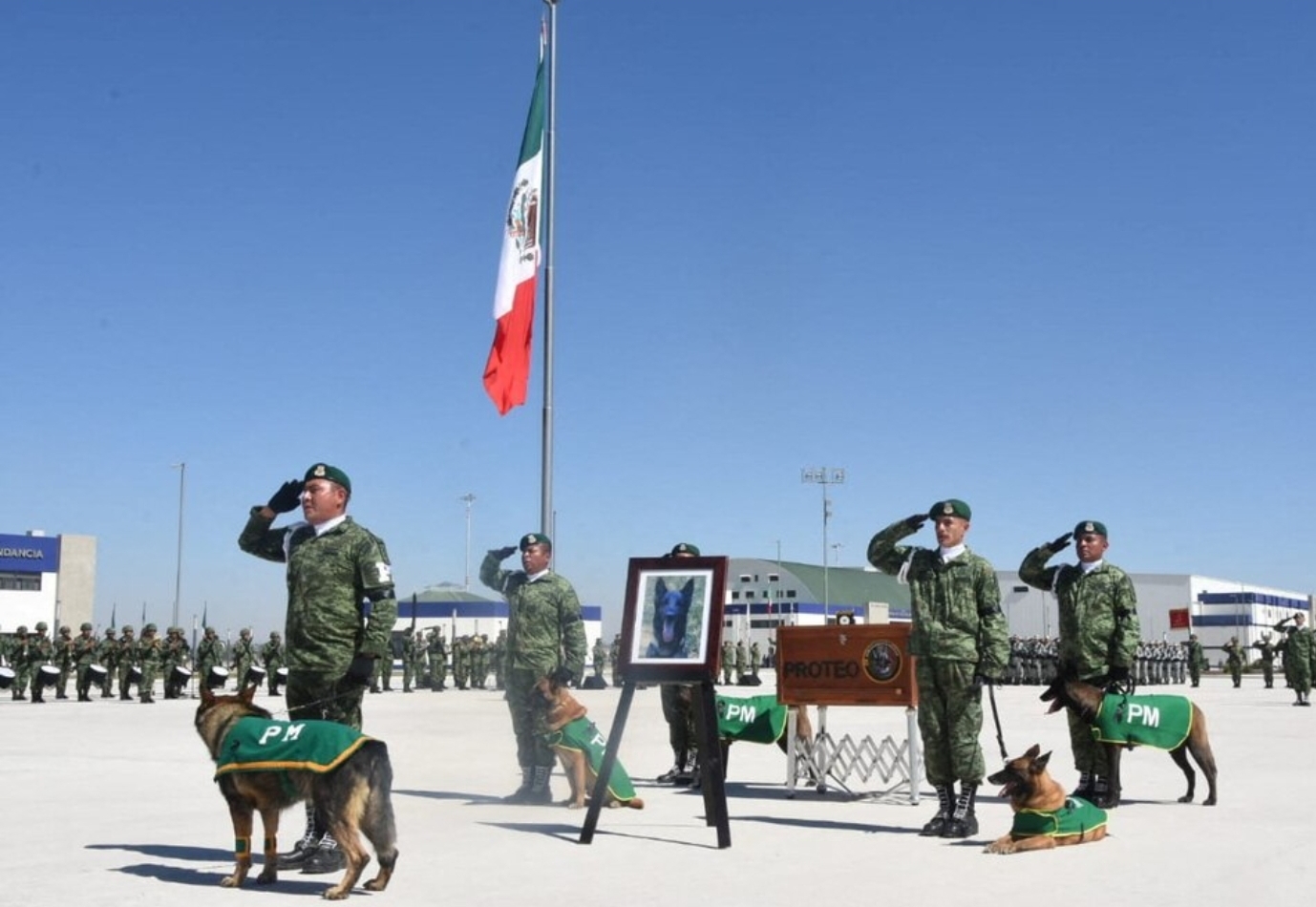 Foto en memoria de Proteo