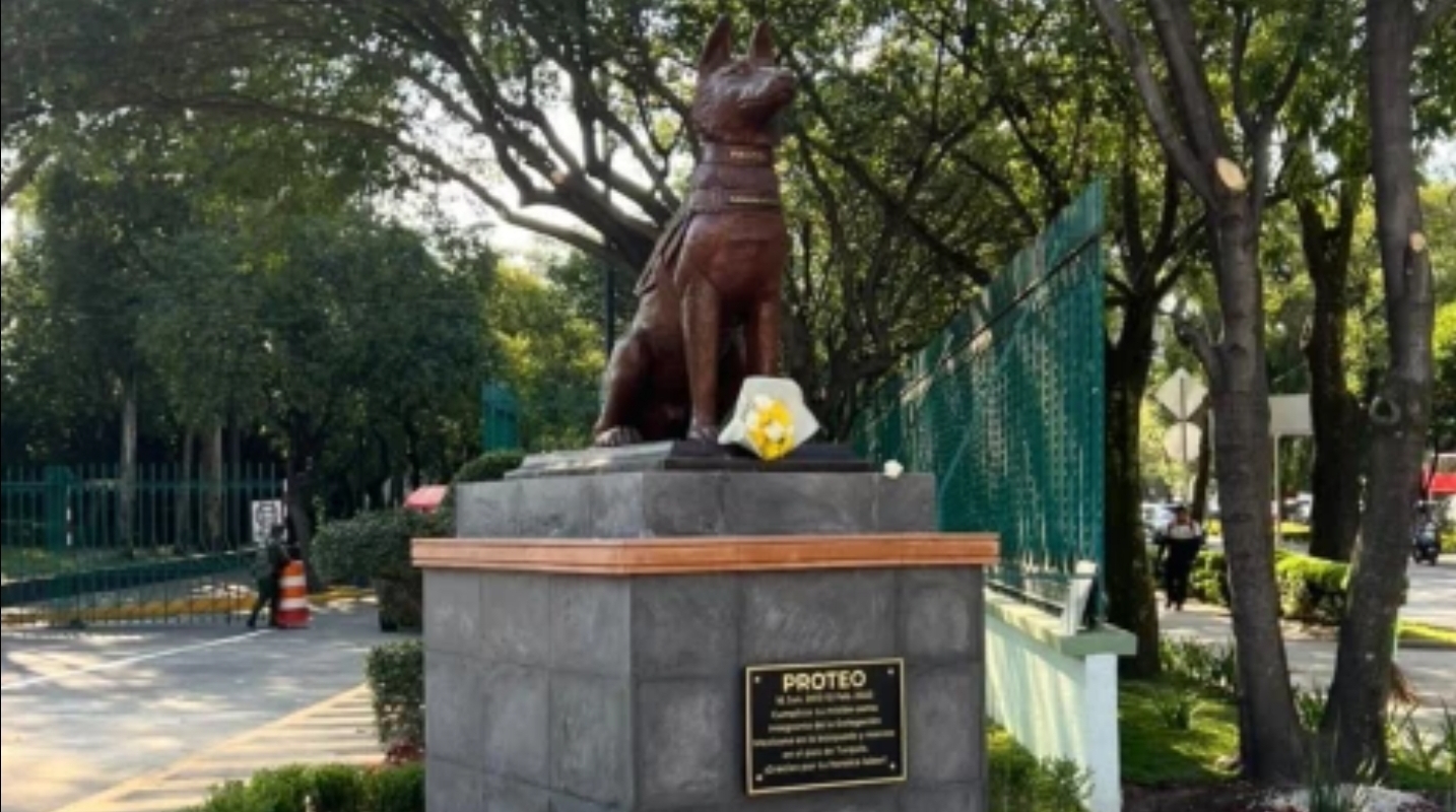 Foto en memoria de Proteo