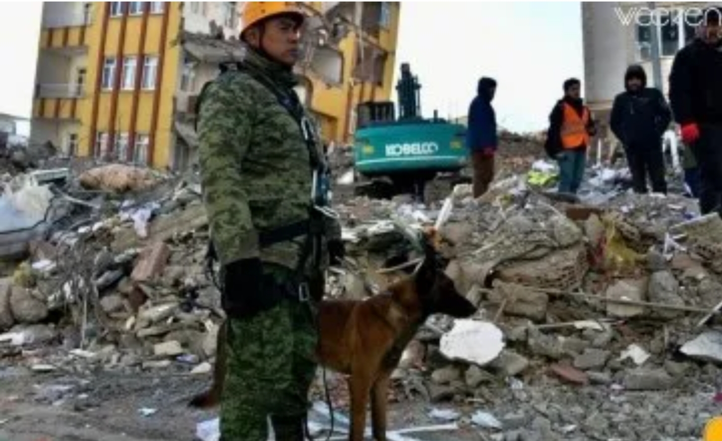 Foto en memoria de Proteo