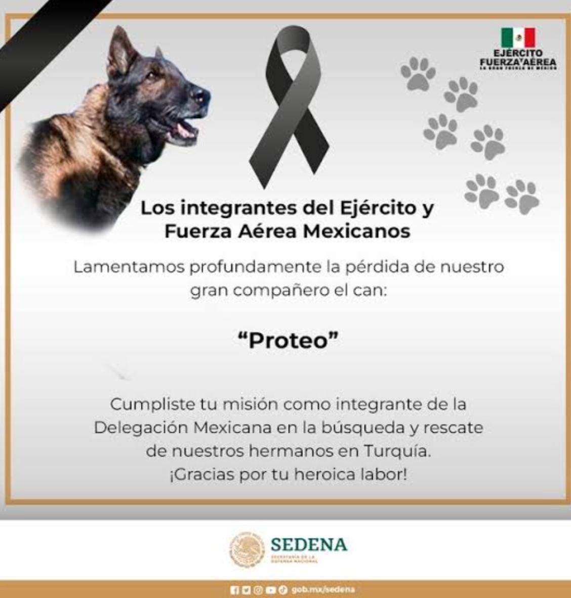 Foto en memoria de Proteo